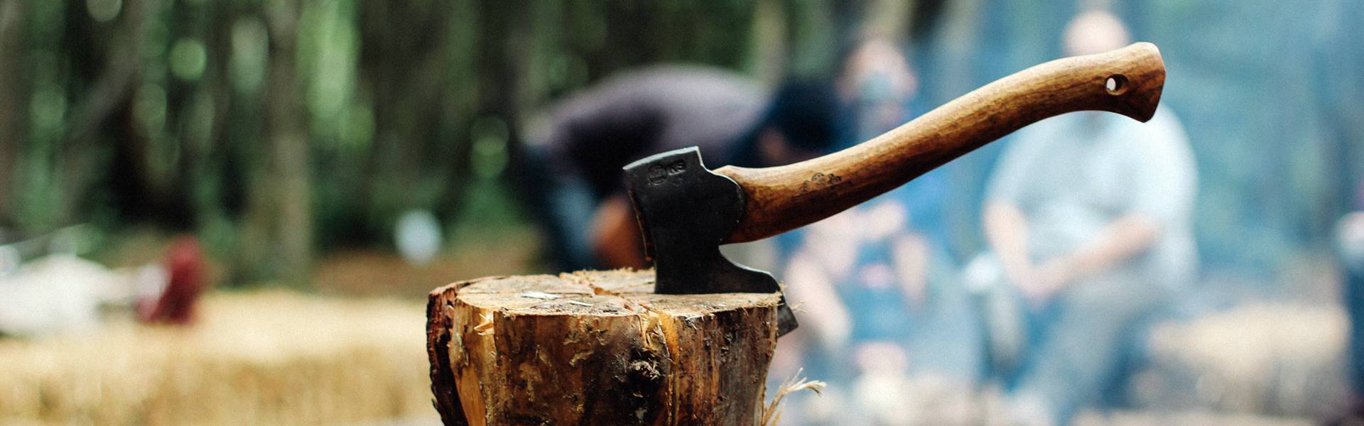 Brennholz vom Hof Rundshagen